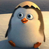 A penguin waving hello